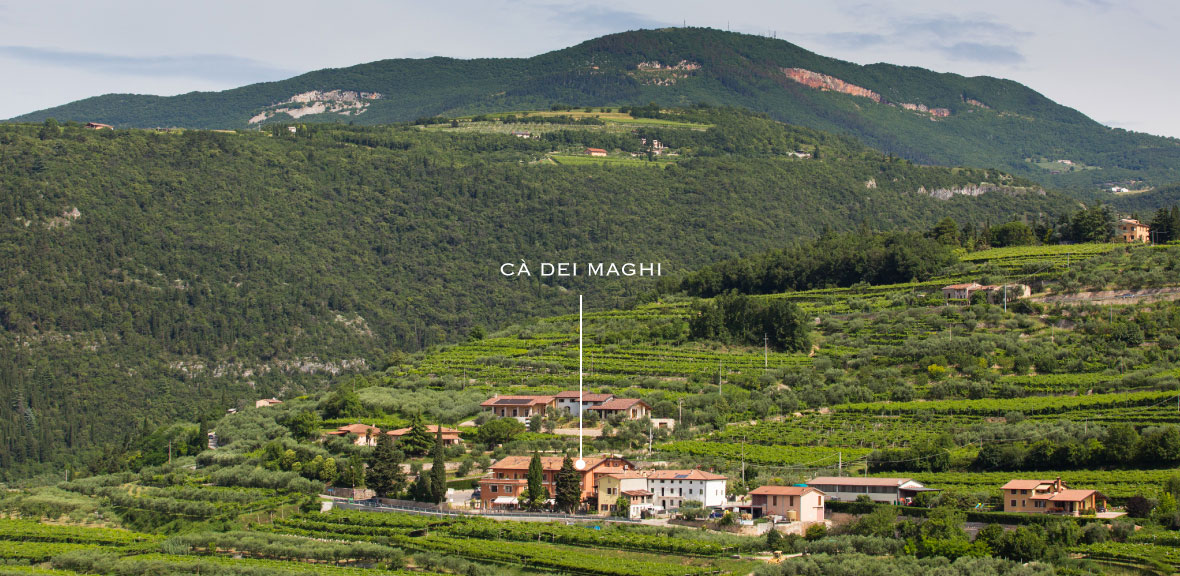 Cadei_Maghi 5